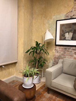 A stylish room corner with plants, lamp, and artwork. Perfect for modern living spaces.