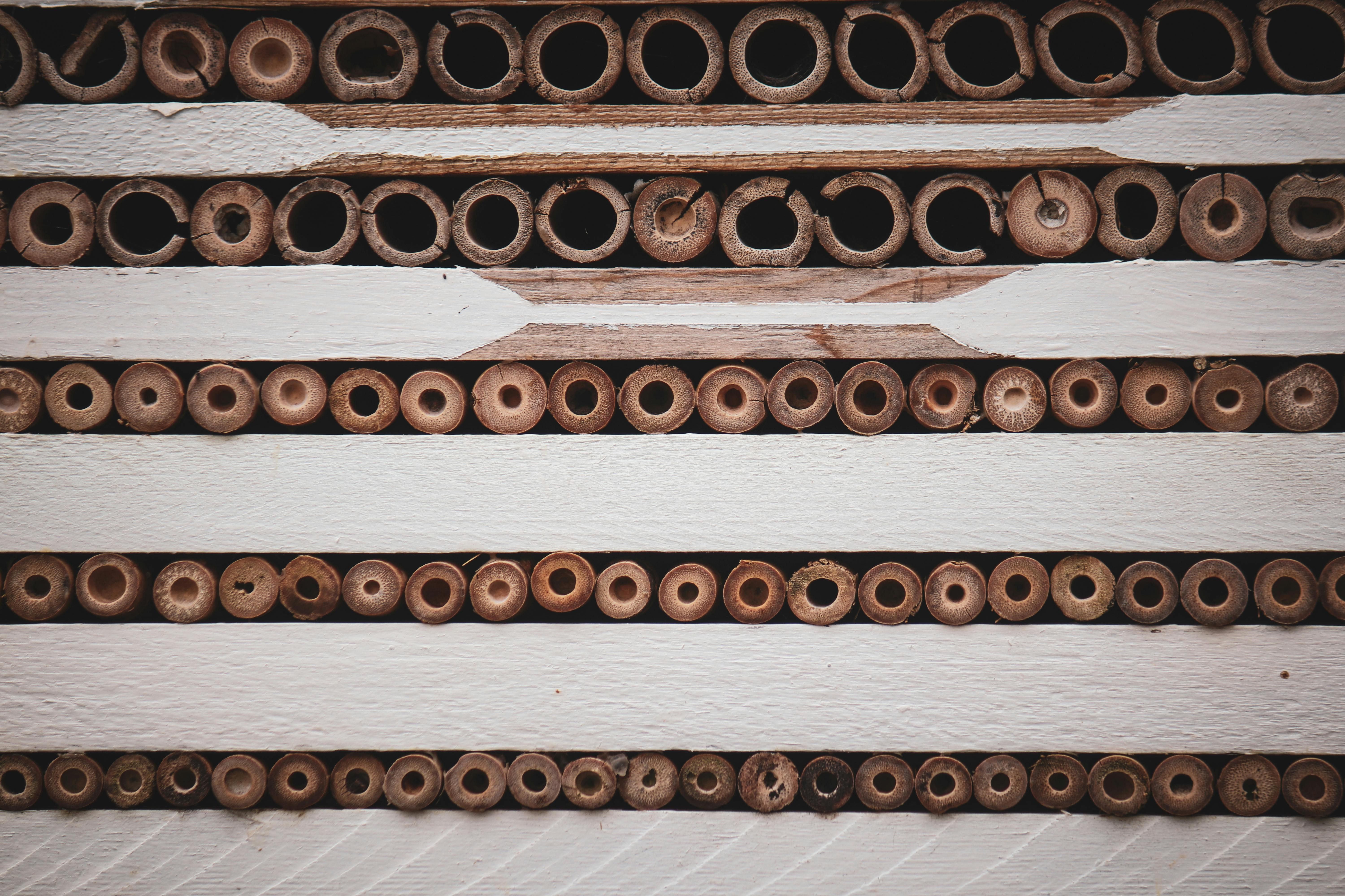 Gratis arkivbilde med arkitektur, arrangement, bærekraftig Arkivbilde