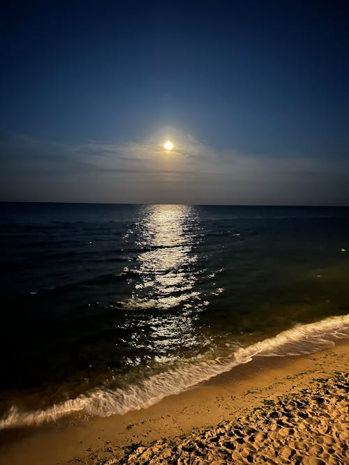 모래, 바다, 반영의 무료 스톡 사진