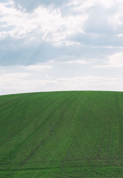 Free A serene view of expansive green hills under a partly cloudy sky in Mogilev Region, Belarus. Stock Photo