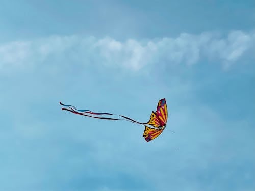 レクリエーション, 凧, 喜びの無料の写真素材