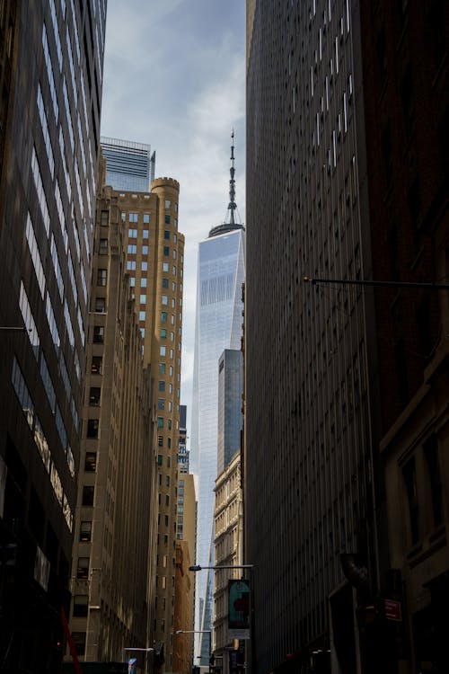 View of the 1 World Trade Center Skyscraper between Buildings in New York City, New York, USA