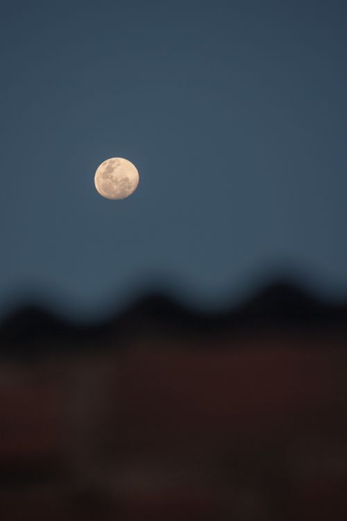 Free Full moon in a clear night sky over a silhouette landscape. Stock Photo