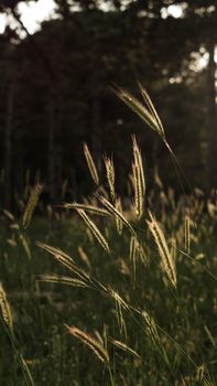 Image by Duygu