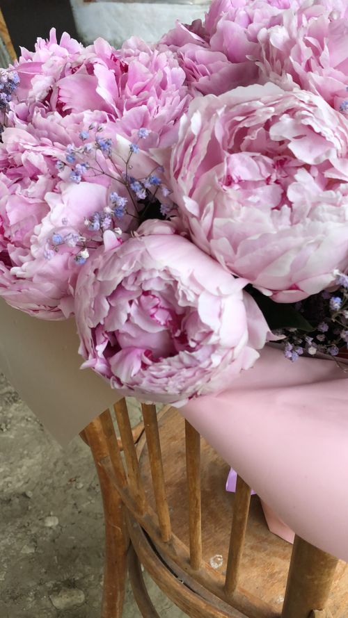 Free A close-up of a vibrant pink peony bouquet arranged on a rustic wooden chair with delicate lavender accents. Stock Photo