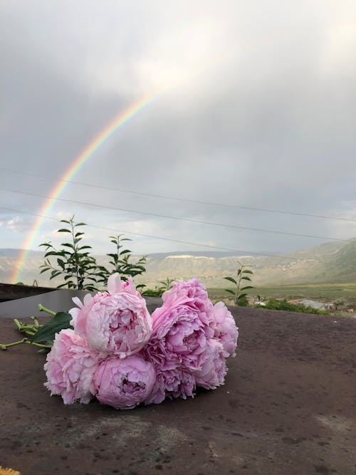 Darmowe zdjęcie z galerii z bukiet, bukiet kwiatów, deszcz