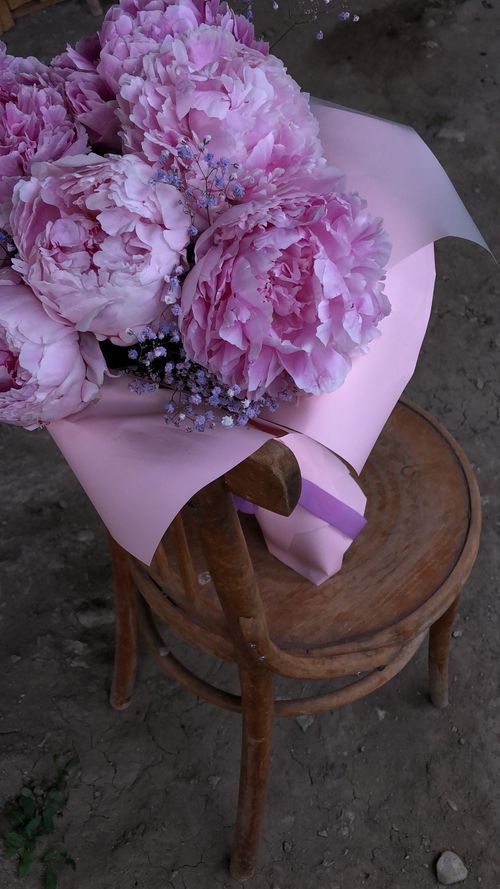 Free A charming arrangement of pink peonies wrapped in pastel paper, placed on a rustic wooden chair, outdoors. Stock Photo