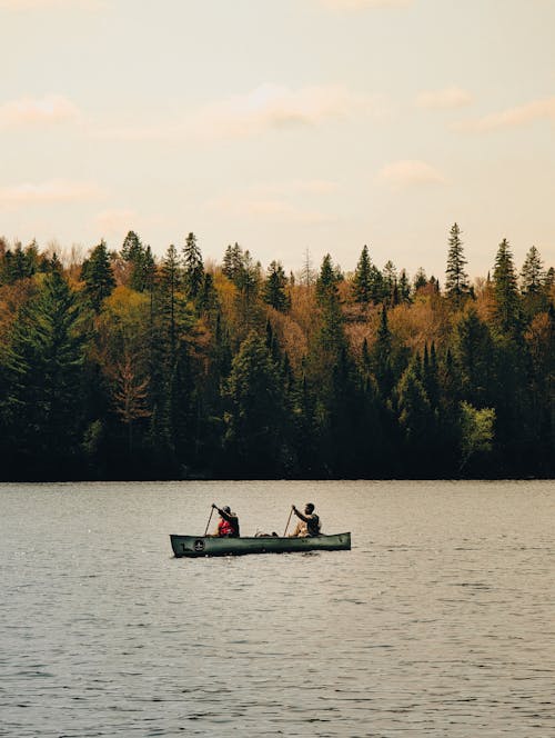 冒險, 划獨木舟, 划船 的 免費圖庫相片
