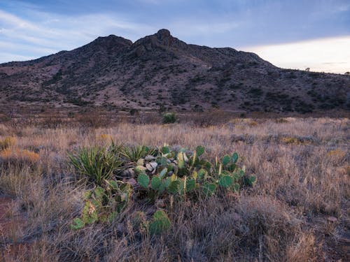 Organ Mountains-Desert Peaks National Monument