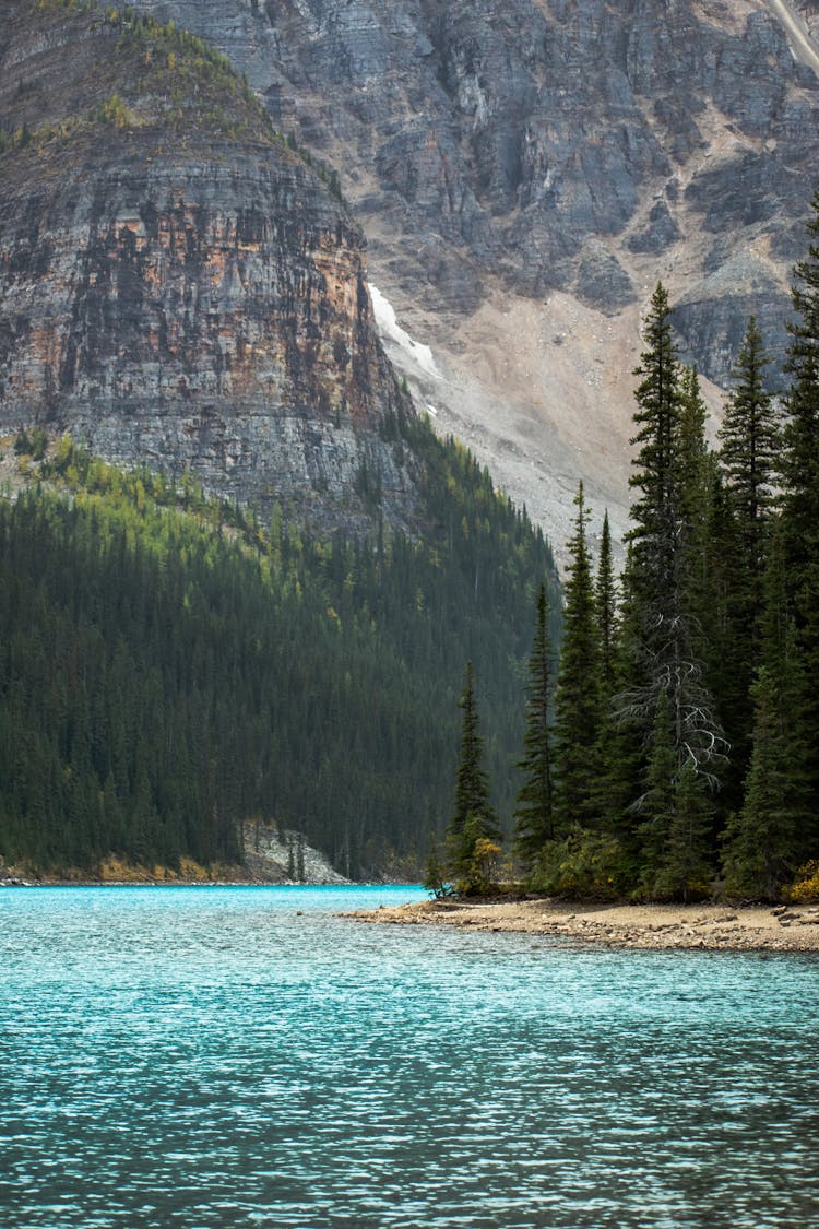 River In Mountains