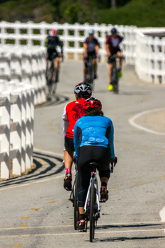 Group of cyclists racing on a sunny curved road, showcasing teamwork and endurance.