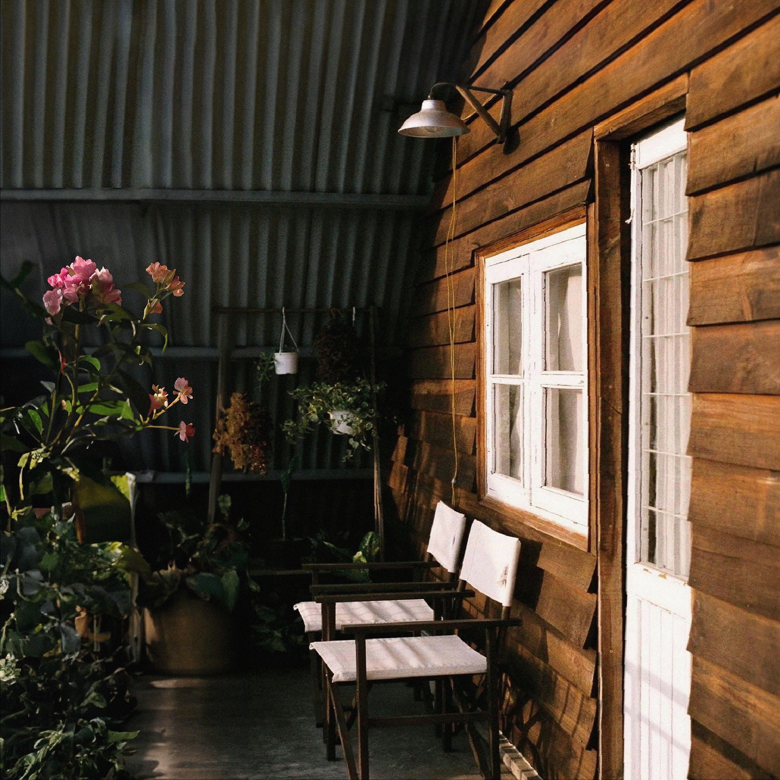 Sunlit patio with wooden walls, chairs, and lush plants in Dalat, Vietnam.