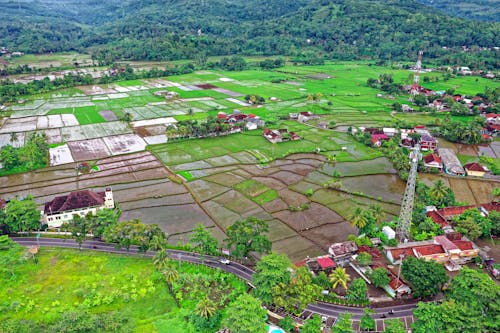 Ilmainen kuvapankkikuva tunnisteilla droonikuva, indonesia, kenttä