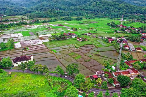 Free Stunning aerial view of lush green rice fields in Pelabuhan Ratu, Indonesia. Stock Photo