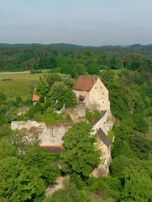 Gratis arkivbilde med ås, Bayern, blader