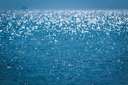 Free Selective Focus Photo of Ocean Stock Photo