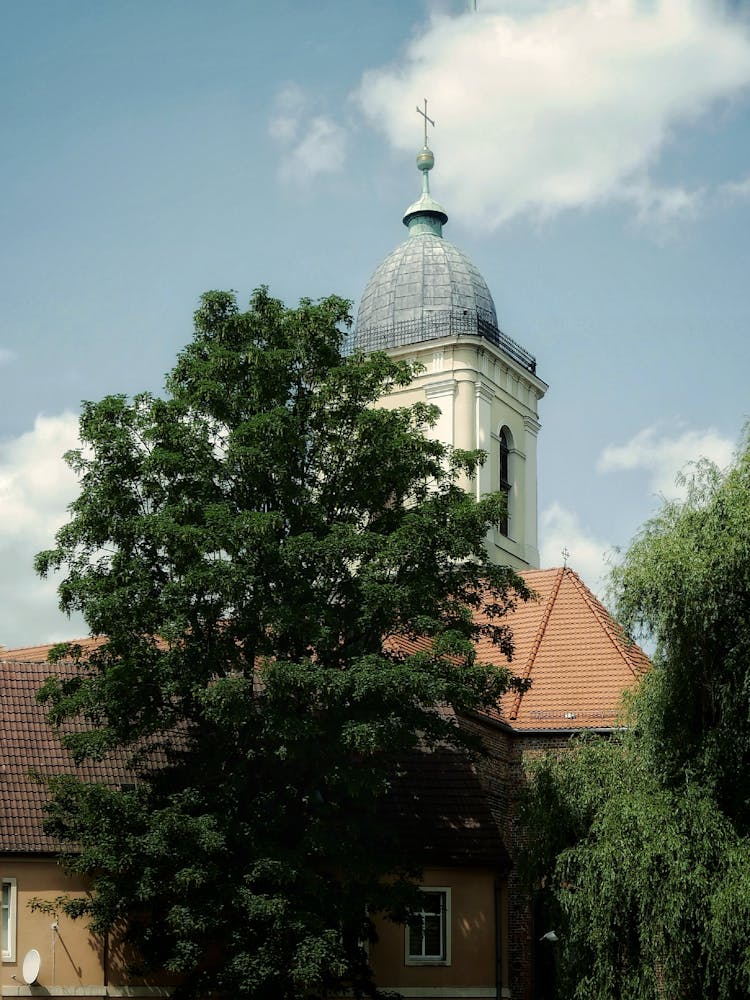 Church Tower Behind Tree In Town