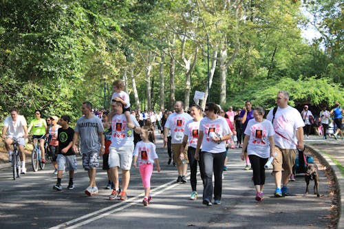 Free stock photo of cancer walk, causes, central park