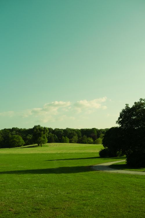 Free A tranquil summer scene with green fields and trees under a clear sky. Stock Photo