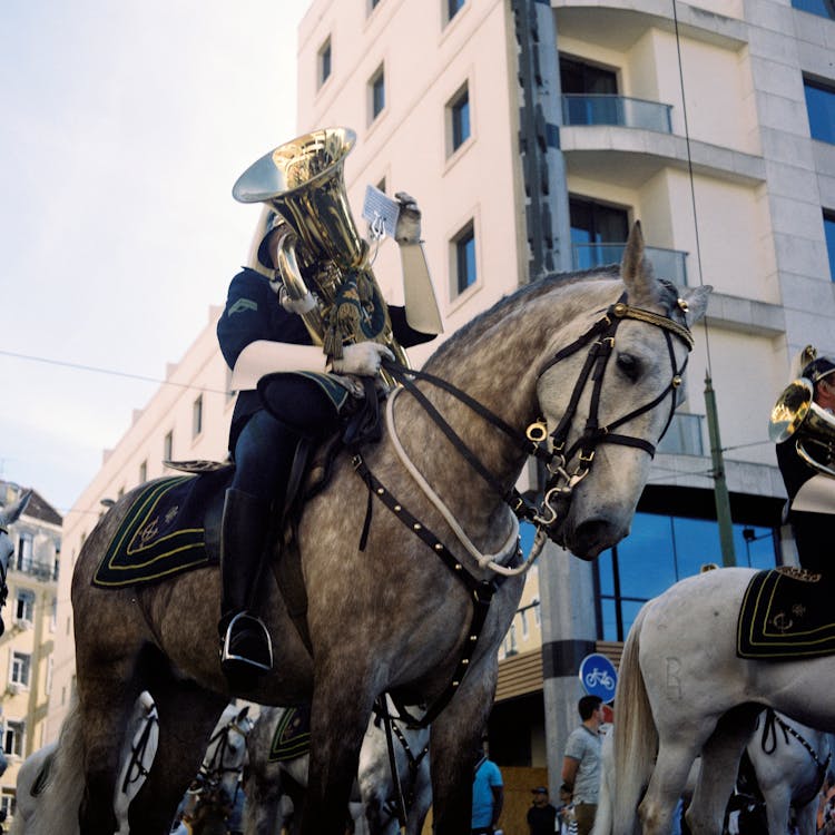 Soldier With Musical Instrument On Horse In Parade