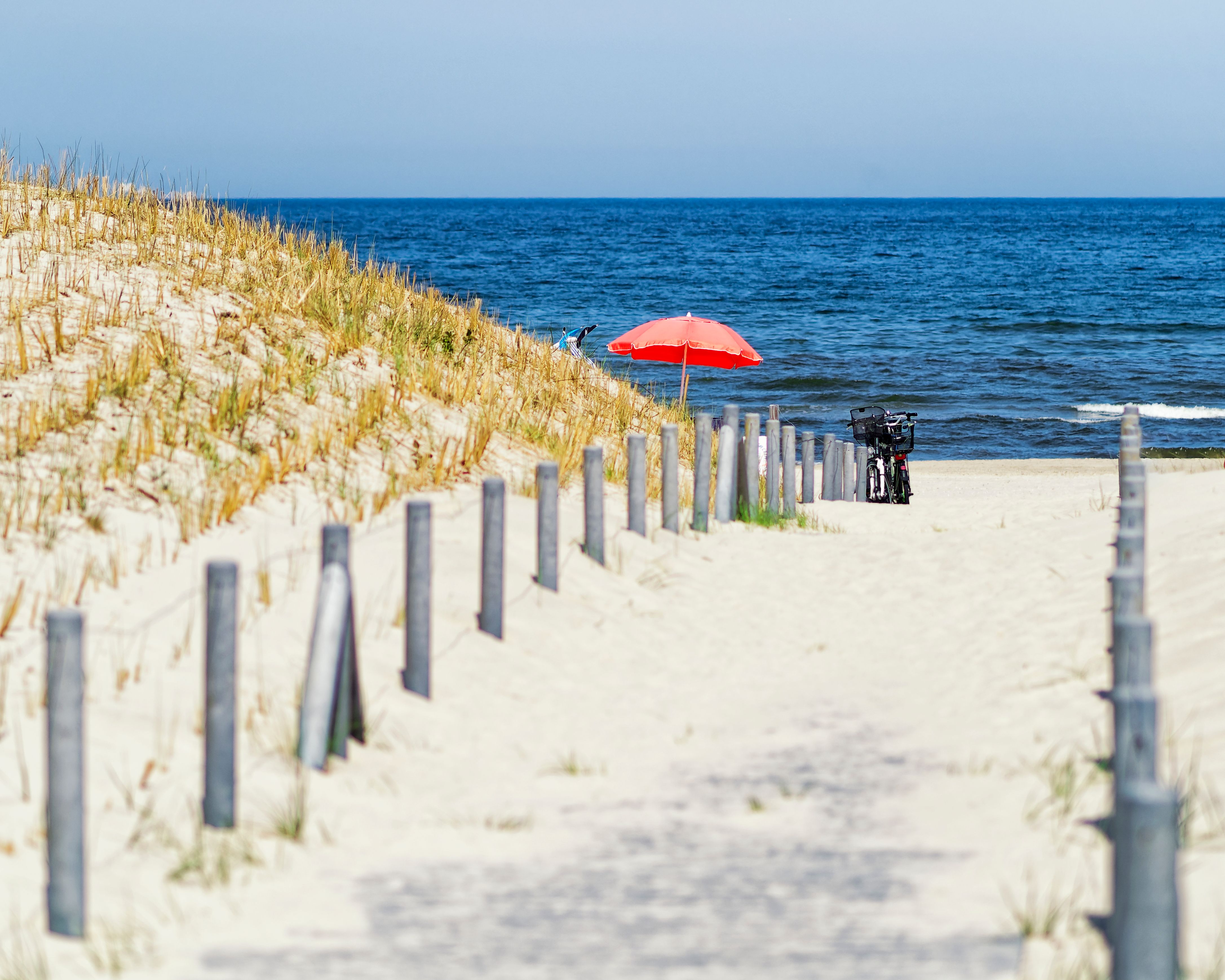 Cyclists enjoying the scenic path on the Curonian Spit in Lithuania, perfect for exploration.