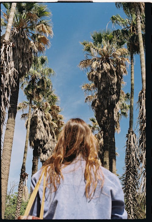 Sunlit Woman between Palm Trees