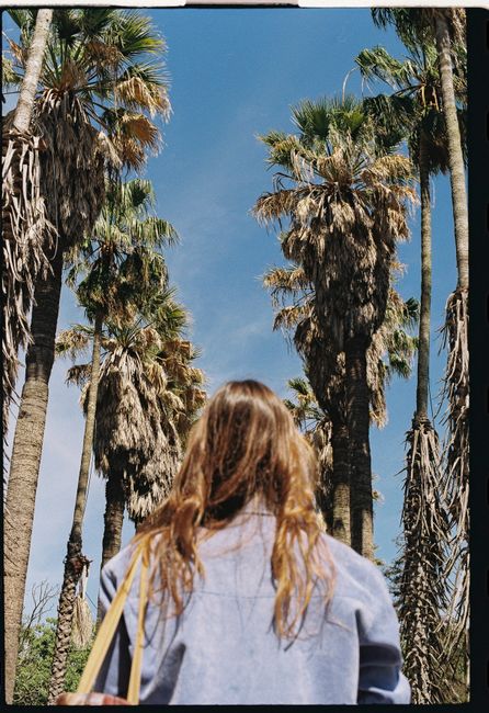 Back view of a woman with long brown hair walking under tall palm trees on a sunny day in Lisbon.