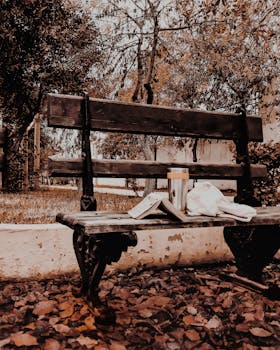 宁静的秋景中，公园里一张木凳被落叶环绕，上面放着一本打开的书