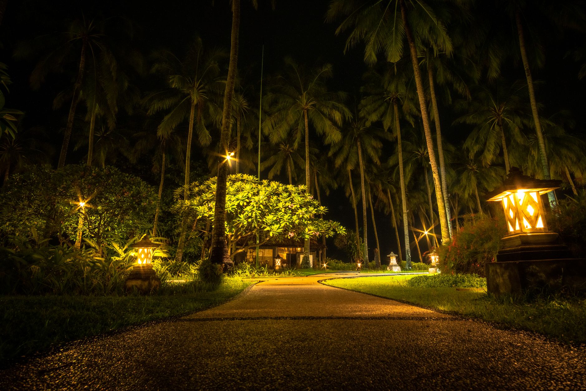 Best Solar Path Lights 2026: Bright, Stake & Waterproof