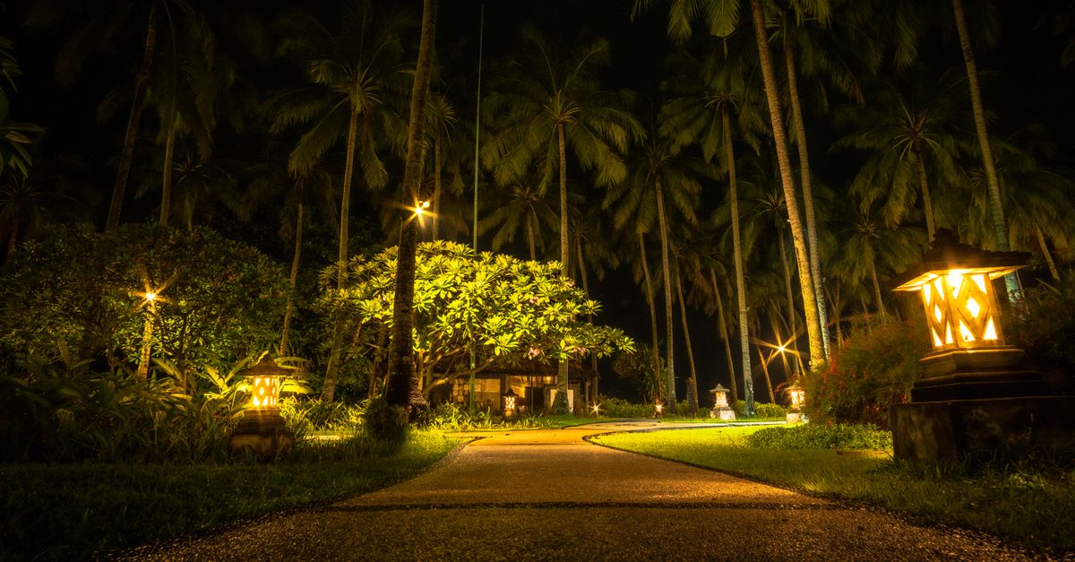 A serene path through palm trees illuminated by warm lights, creating a magical night ambiance.