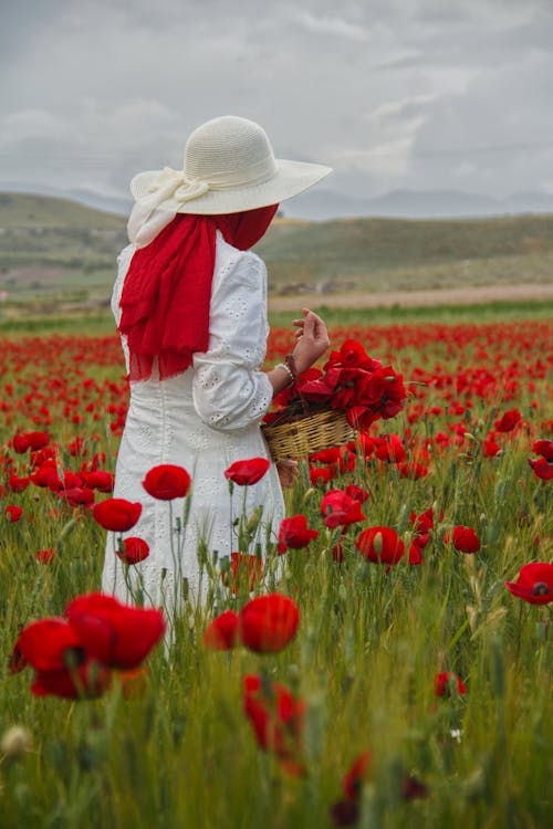 Gratis arkivbilde med åker, blomster, hatt