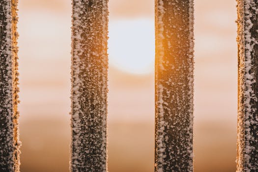 积雪覆盖的木栅栏在特写镜头下，点燃了温暖的冬日暮色