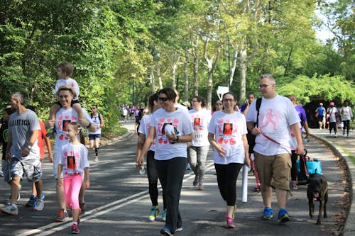 Free stock photo of cancer walk, causes, central park