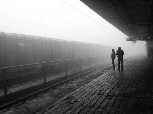 Fotobanka s bezplatnými fotkami na tému čierny a biely, indický, ulica