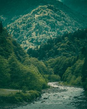 Peaceful river flowing through a lush green forest under majestic mountains, offering stunning natural scenery.