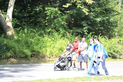 Free stock photo of cancer walk, causes, central park