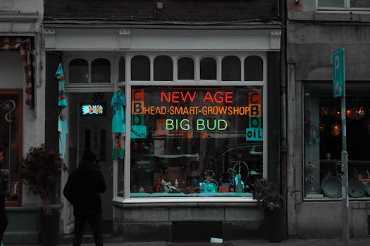 城市中央商务区的商店街景中，霓虹灯招牌与夜间路人交织