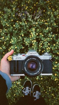 A classic Canon camera held over vibrant yellow flowers, capturing nostalgia and nature.
