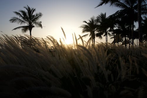 Безкоштовне стокове фото на тему «впритул, Захід сонця, мчить»