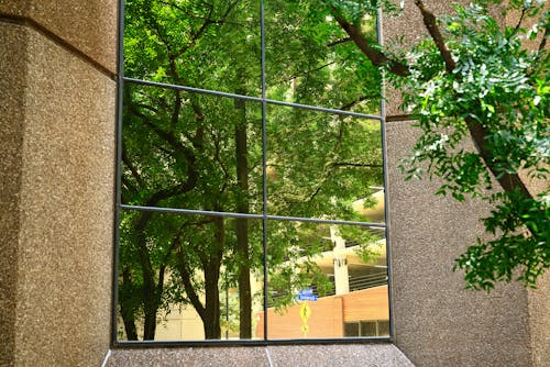 Free stock photo of building, reflection, trees
