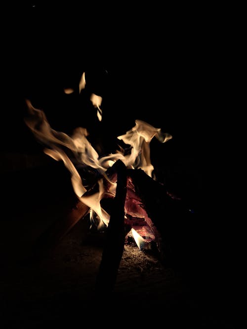 Foto d'estoc gratuïta de braai, crema de fusta, flames