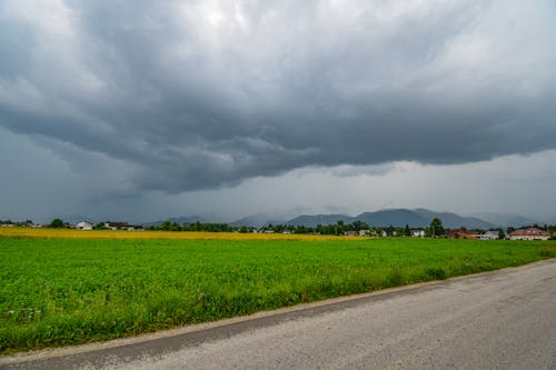 多雲的, 田, 路 的 免费素材图片