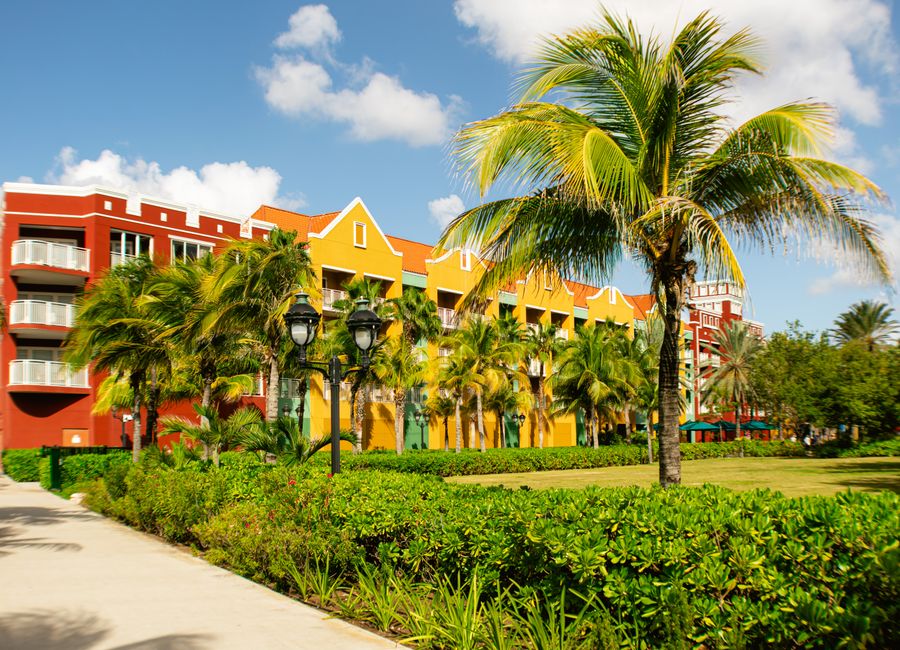 Brightly colored buildings and palm trees in vibrant Willemstad, Curacao.