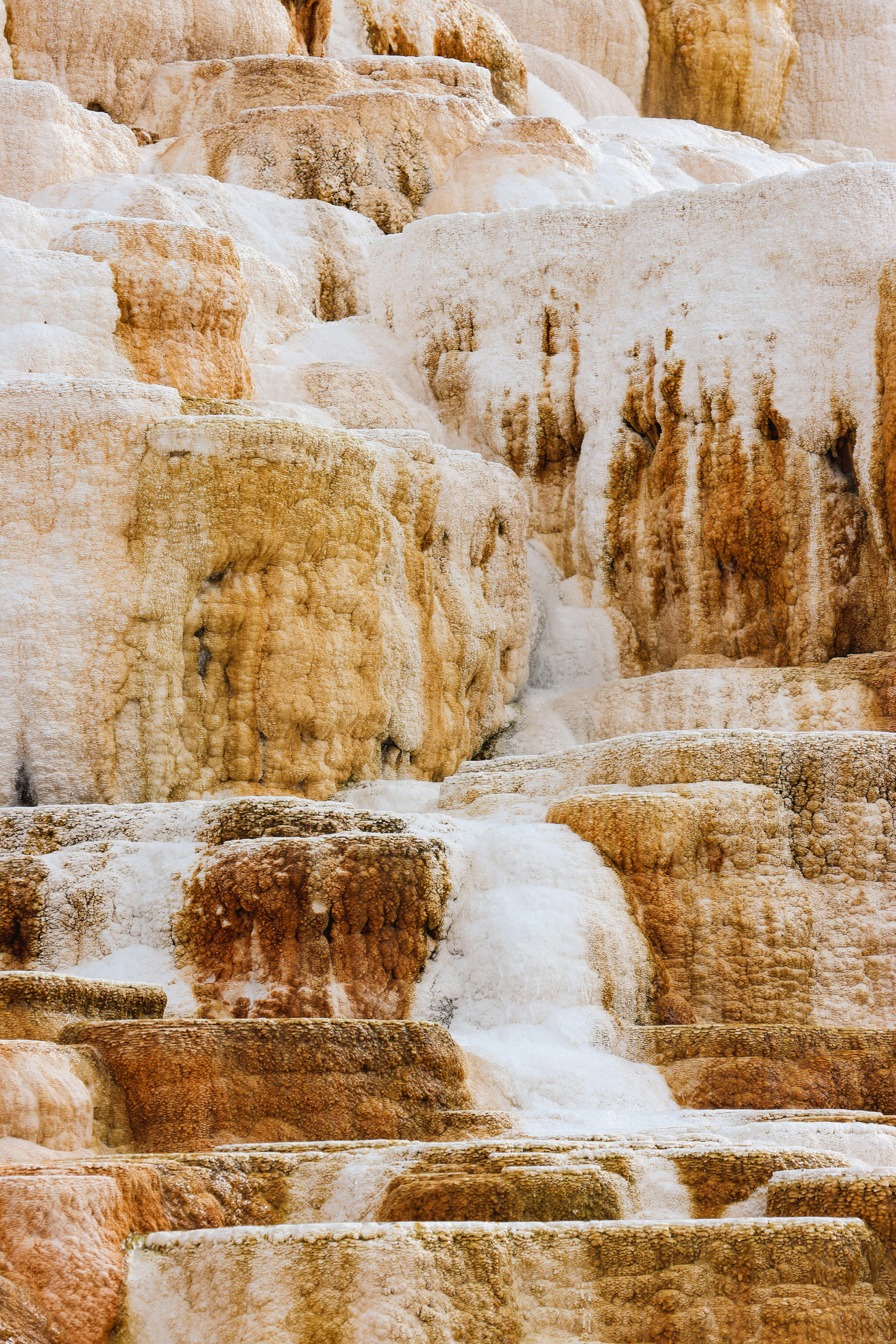 Close-up of stunning terraced travertine formations at Yellowstone's Mammoth Hot Springs.