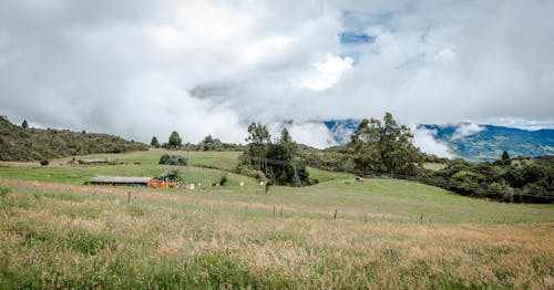 Kostenloses Stock Foto zu außerorts, bäume, dorf