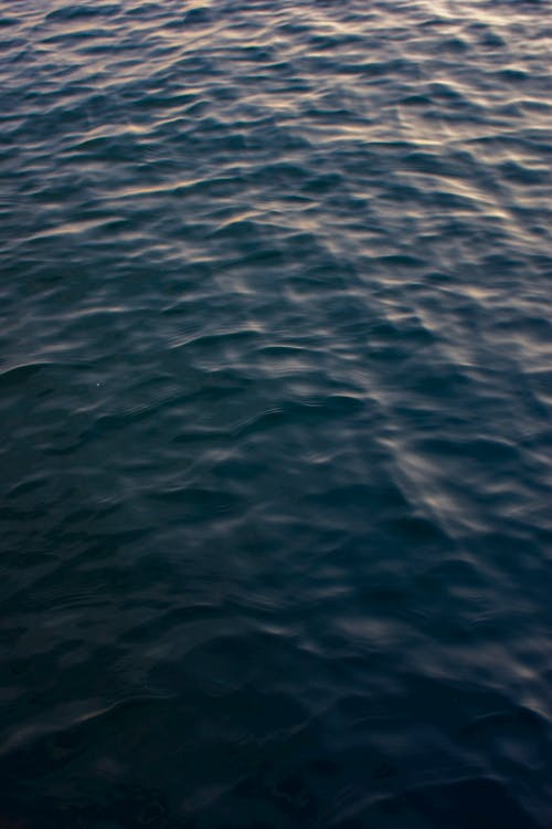 Δωρεάν στοκ φωτογραφιών με γνέφω, επιφάνεια νερού, θάλασσα