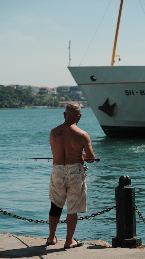 Fotobanka s bezplatnými fotkami na tému breh, mestský, more