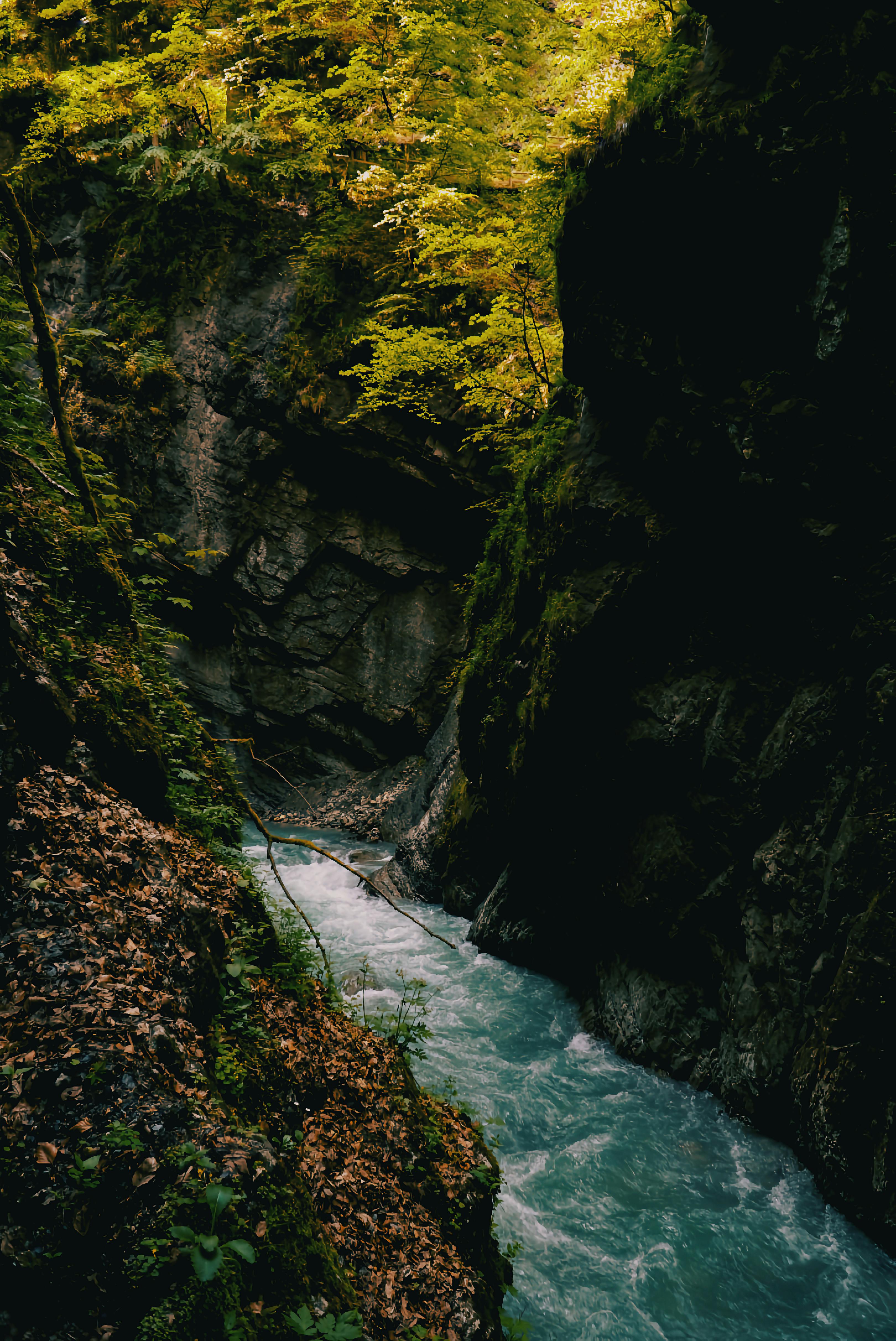 Tranquil forest stream with rocky surroundings and lush green foliage, perfect for nature lovers.