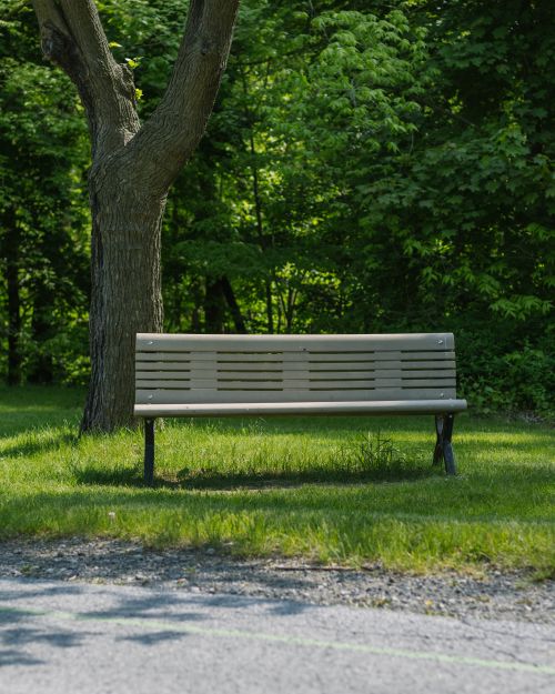Free A peaceful park bench under a tree surrounded by lush greenery, perfect for relaxation. Stock Photo