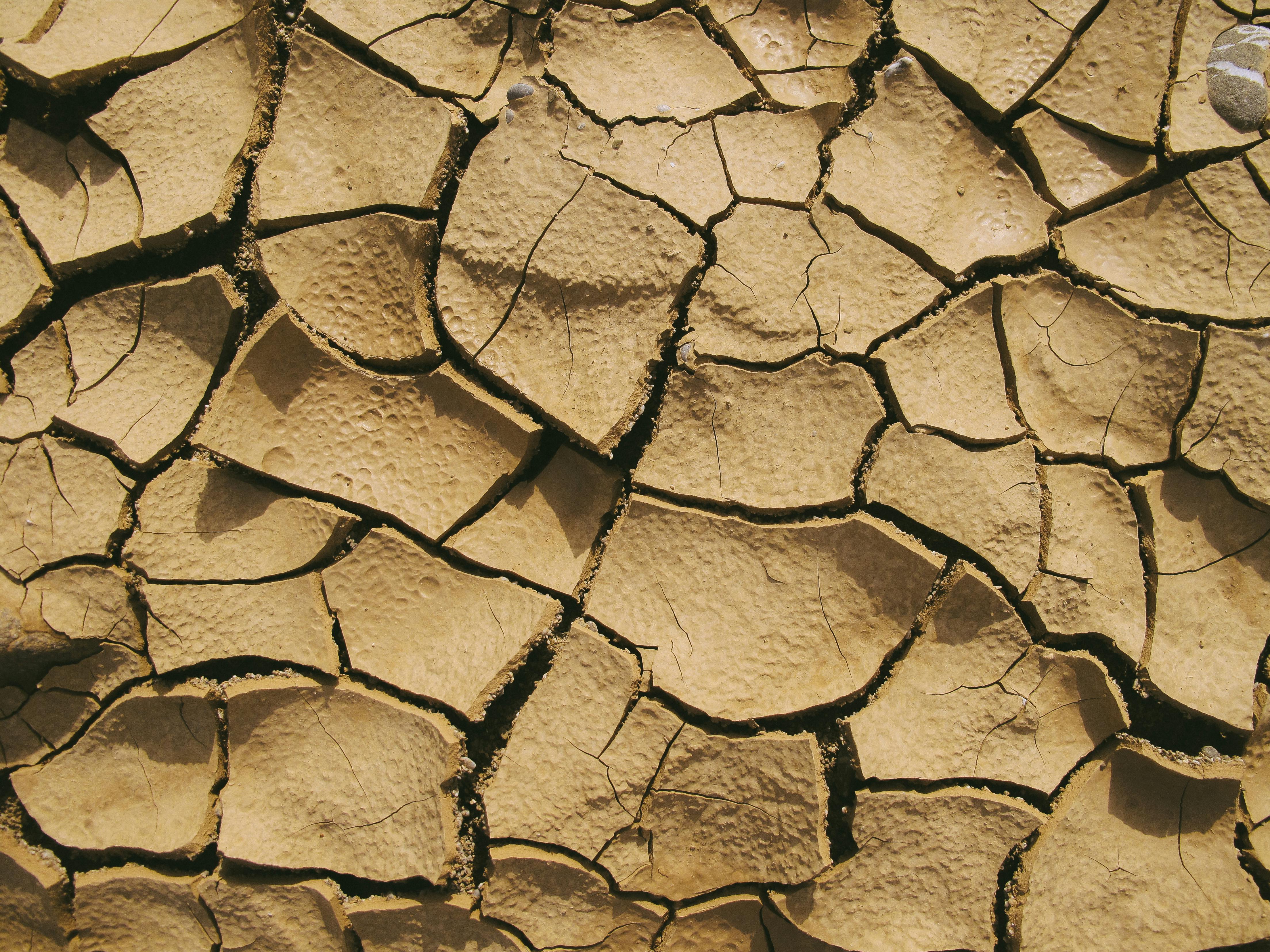 Dry Climate Stock Photos, Images and Backgrounds for Free Download